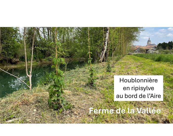 Parcourez nos parcelles en agriculture biologique-page