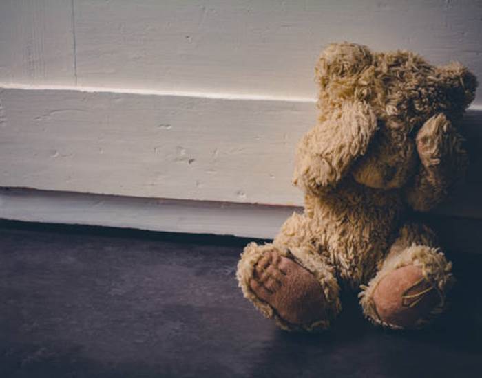 Médiation animale, une prévention contre les violences sexuelles