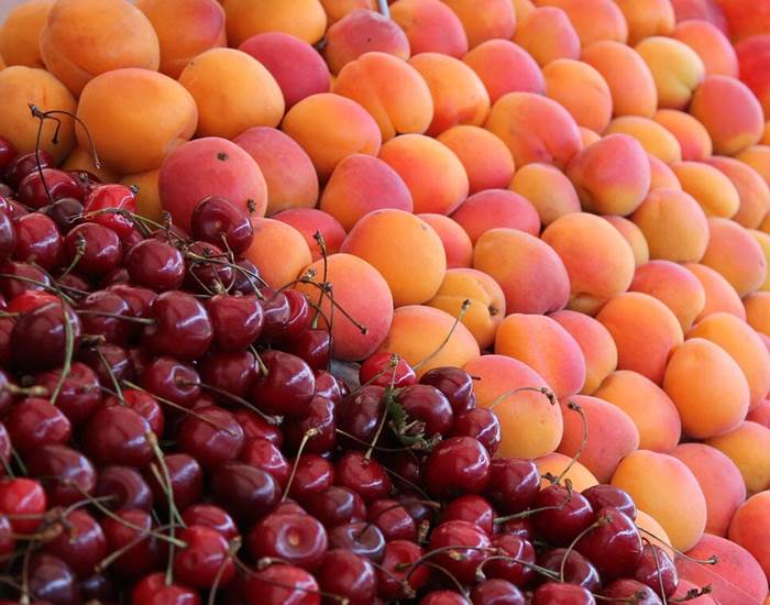 fruits-saison-local-bio
