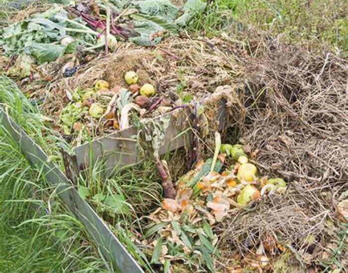 compost camping
