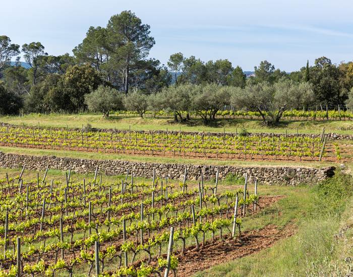 Polyculture