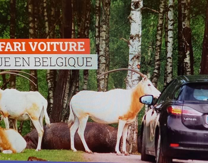 Le Monde Sauvage