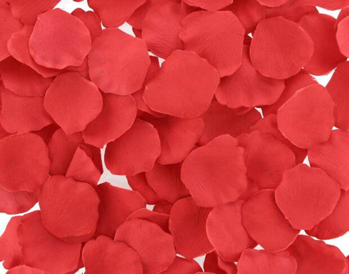 petales-rose-rouges