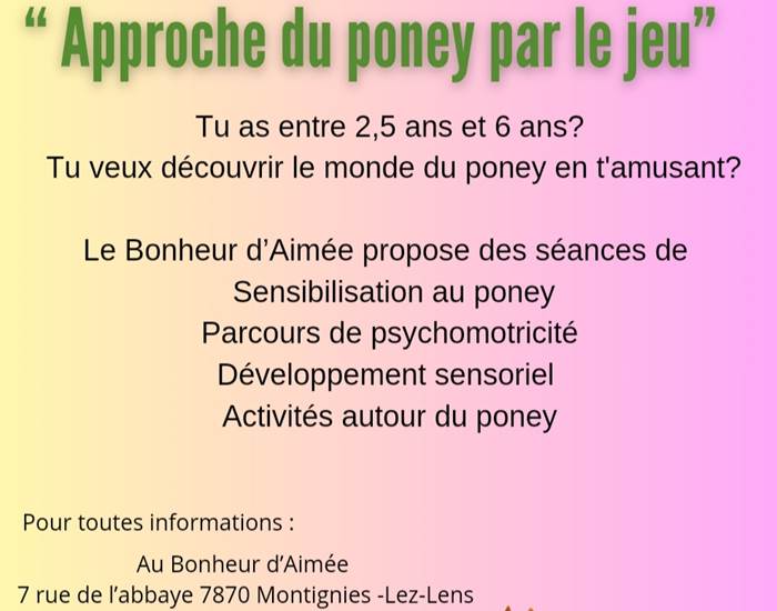 Approche du poney par le jeu