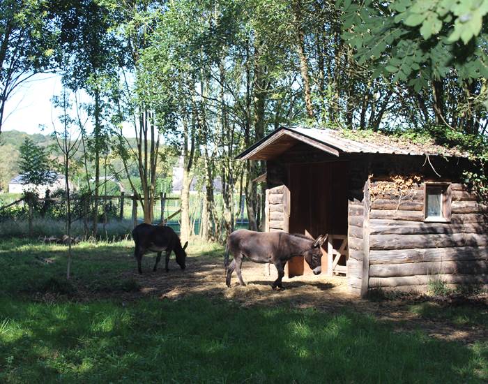 mini-ferme