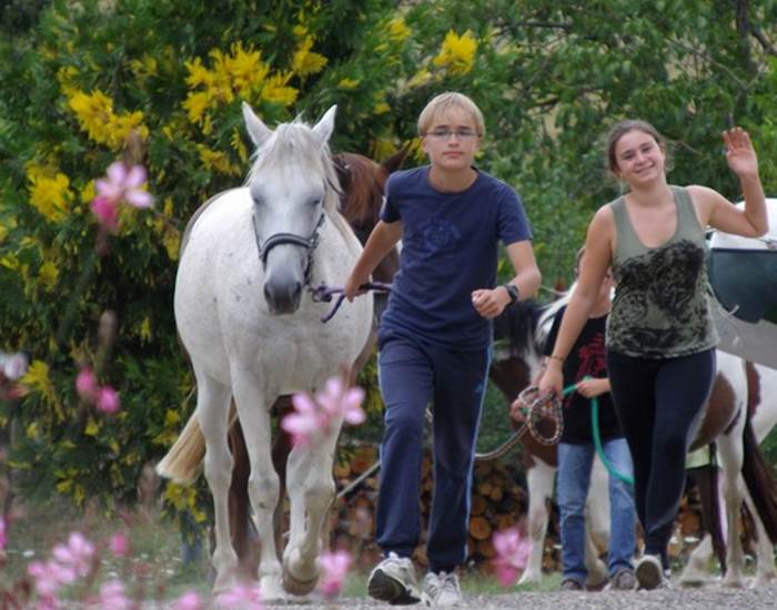 s'occuper des poneys