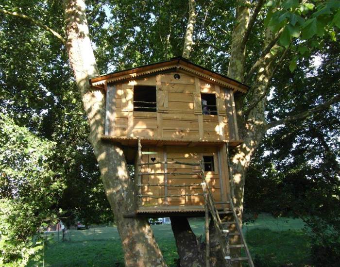 La cabane magique du grand platane