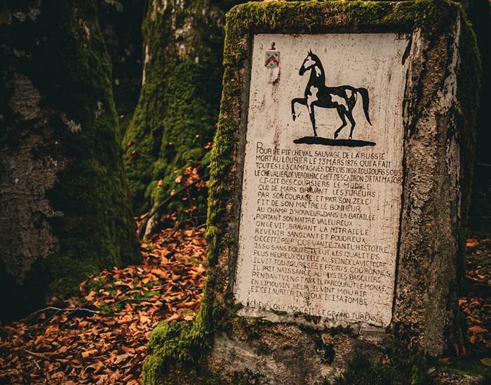Domaine du Loubier, stèle du cheval