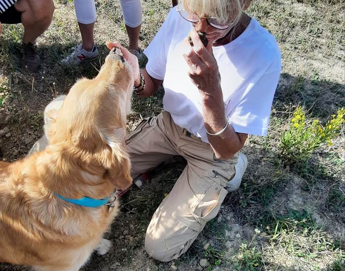 Découverte de la truffe