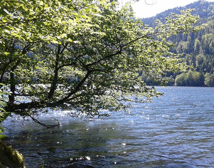 le lac de kruth wildenstein accessible a pied depuis l'hôtel