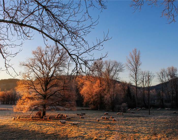 Lot Tourisme -Boussac- © L