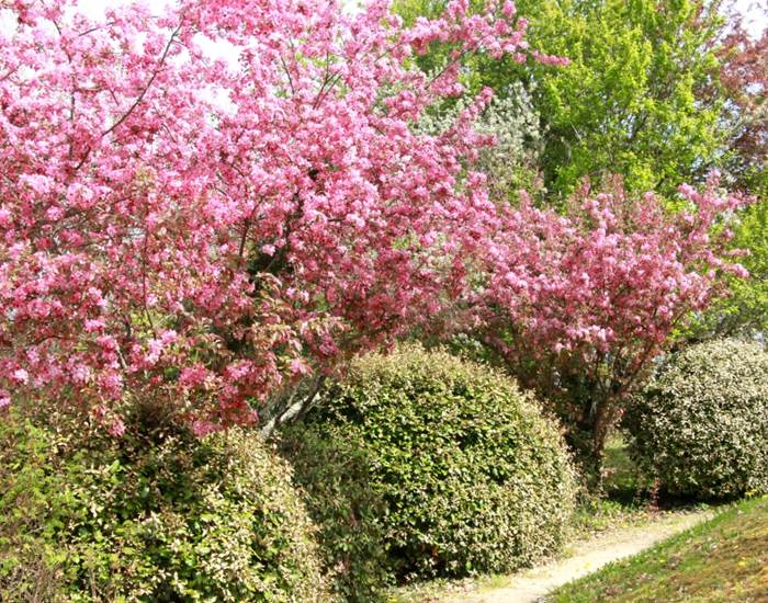 Jardin des gîtes