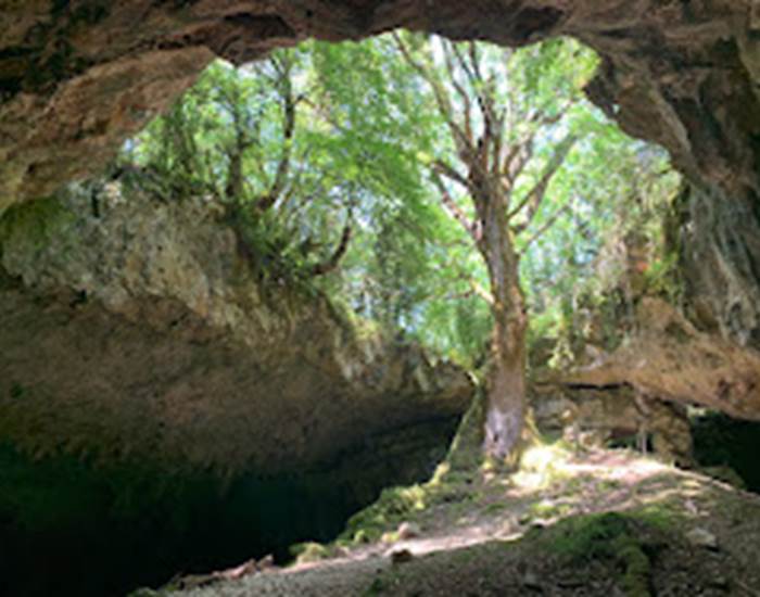 Cuzoul de monclar