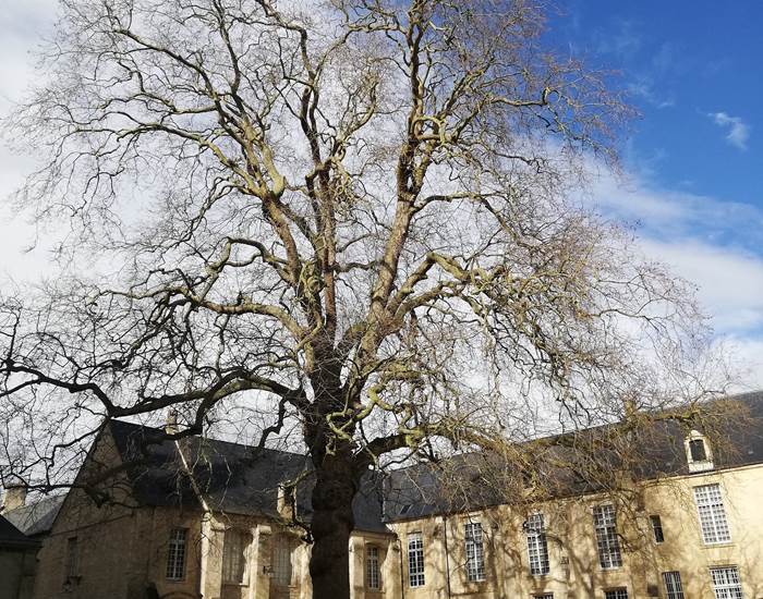 Bayeux