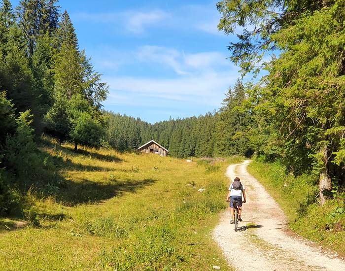 VTT dans la foret du risoux
