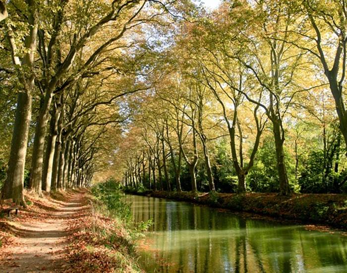 Canal du Midi