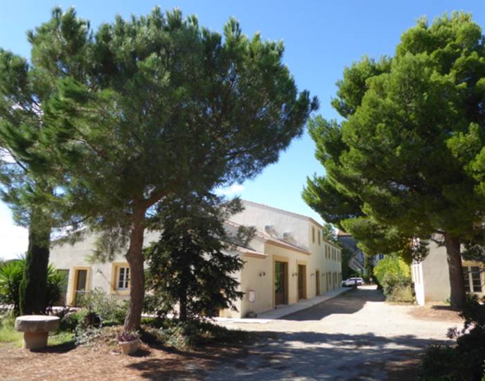 domaine viticole