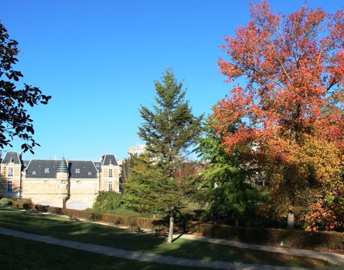 petit-jard-chalons-champagne-chateau-marche-automne