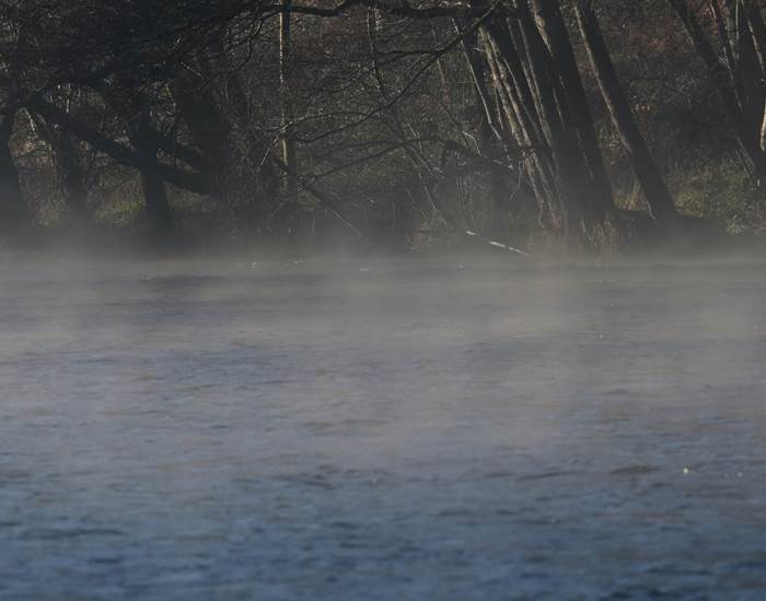 Morgenmist - Brume matinale - Morgennebel - Morning mist