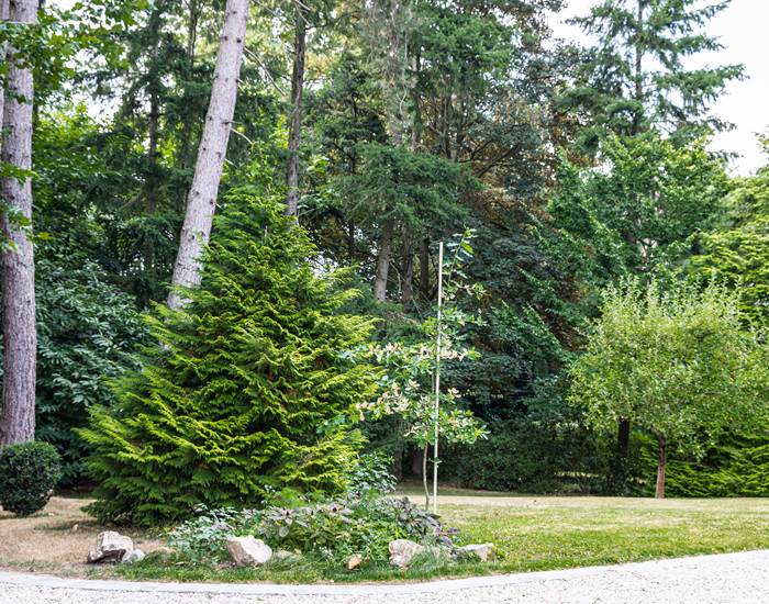 jardin avant