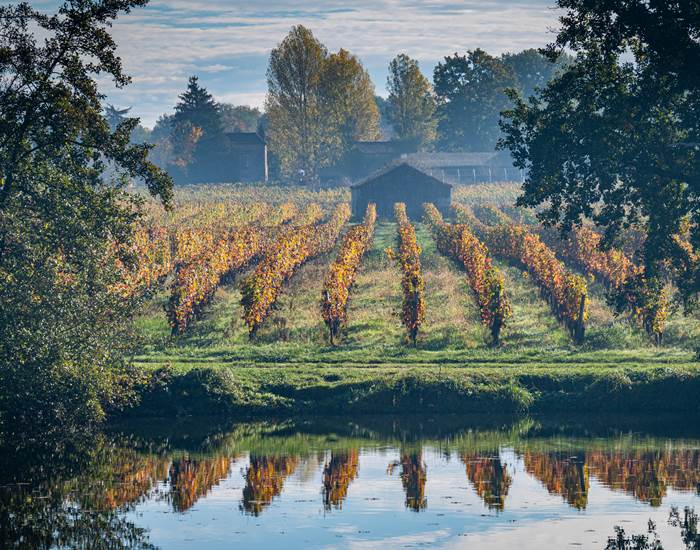 Vignoble en automne Luzech © Steve Jones-3