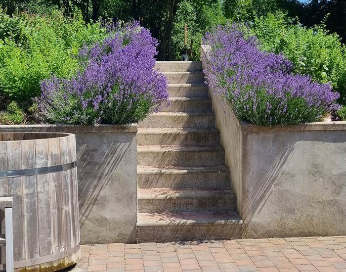 belaora jardin