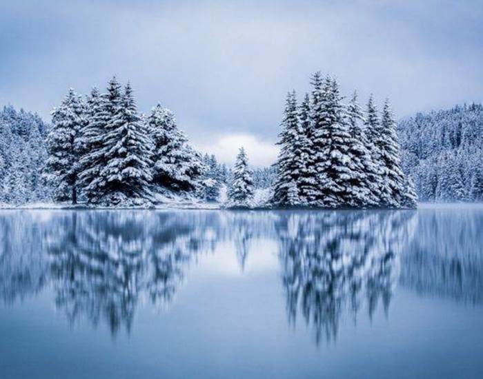 Lac des vosges sous la neige