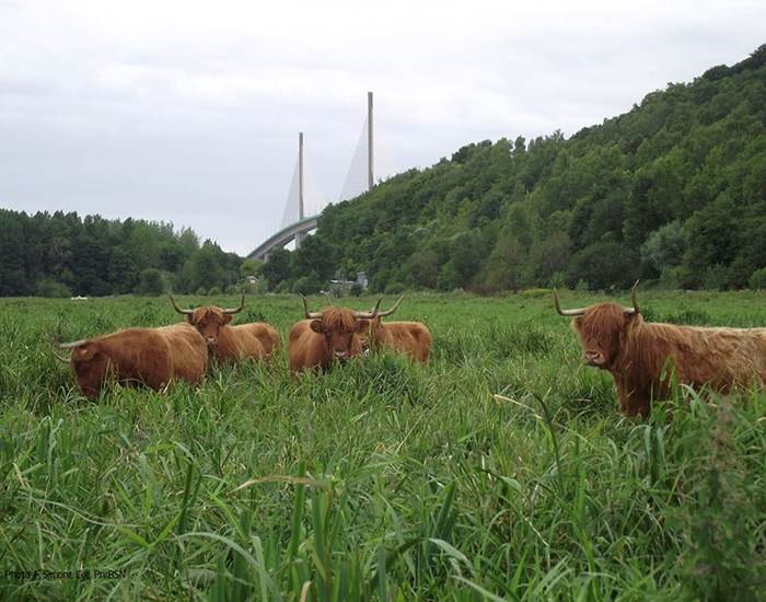 parc naturel des boucles de la seine 3