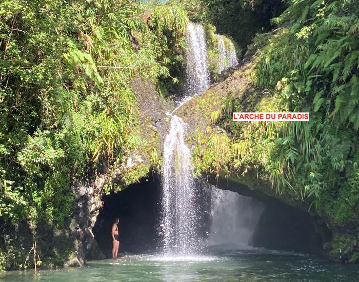 arche paradis