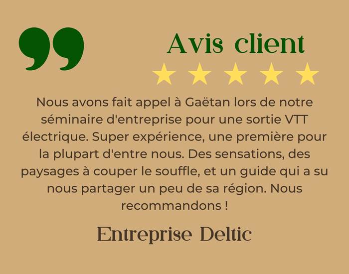 Avis Deltic