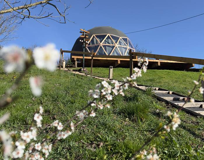 Le printemps s'éveille dans le verger