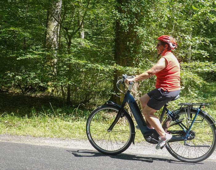 location_velo_electrique_vélo_de_ville_stations_bees_nemours