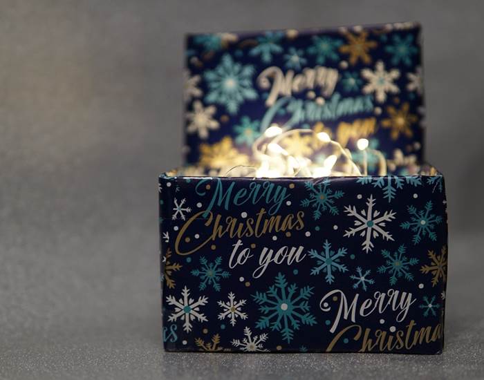 Carte cadeau Famille Noel - nuitée au Clos de l'Agneau