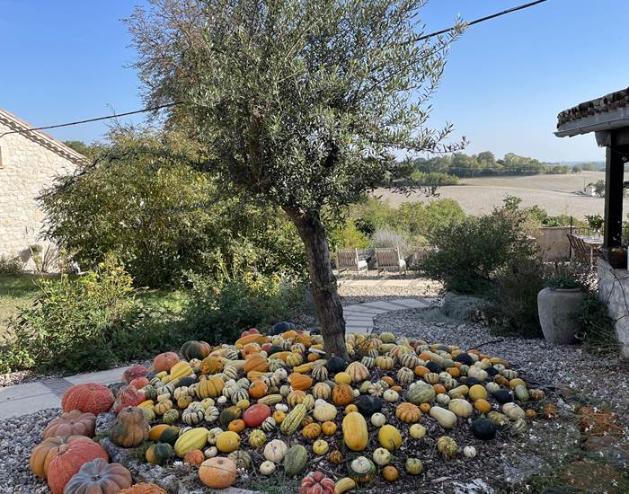 Couleurs d'automne