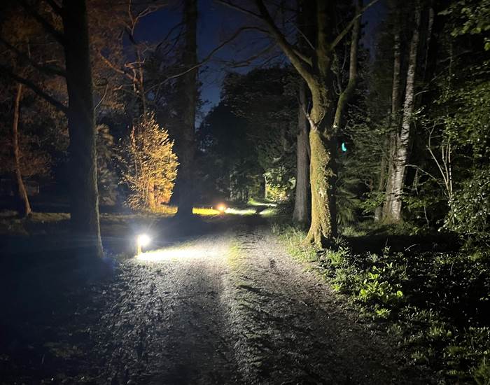 Le parc entre ombres et lumières