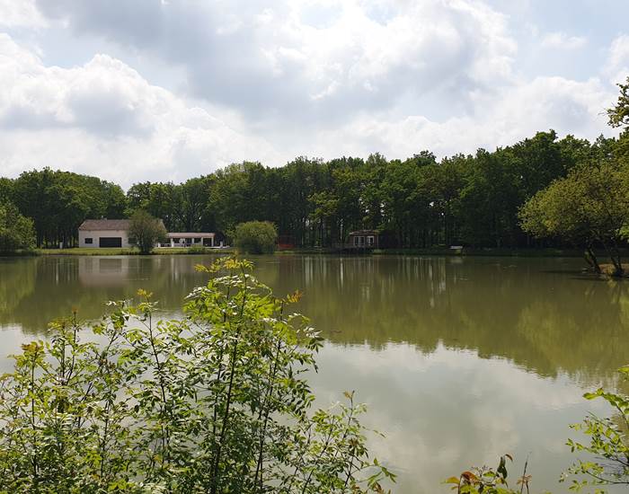 vu du domaine