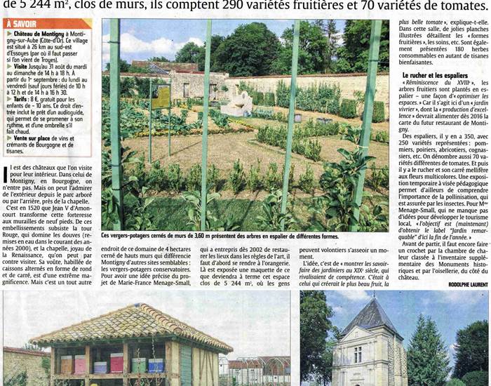 Sans titre