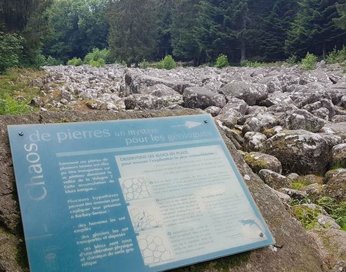 Sans titre
