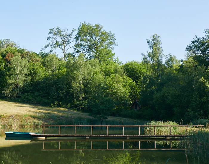 les bois de saint Auvent l'étang