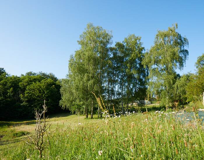 les bois de saint Auvent le jardin