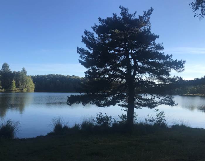 Lac du Miel