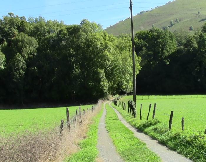 acces-foret