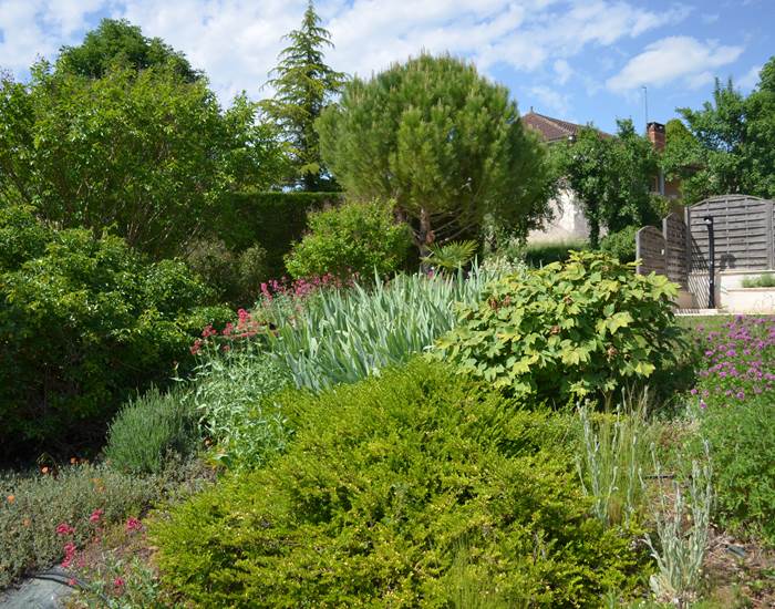 Le jardin