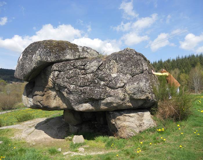 Mégalithe Tête de Tortue St-Romain-d'Urfé