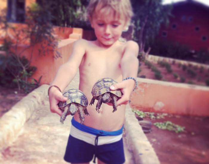 les tortues de Baoussala