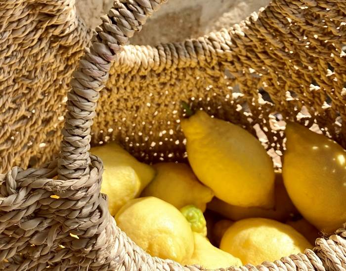 Citrons du jardin