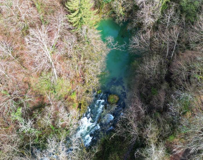 À seulement 5 min du Manoir du Colombier, la Source du Groin offre un cadre paisible et rafraîchissant, idéal pour une balade en pleine nature dans le Bugey.