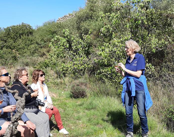 Dégustation au cœur des vignes