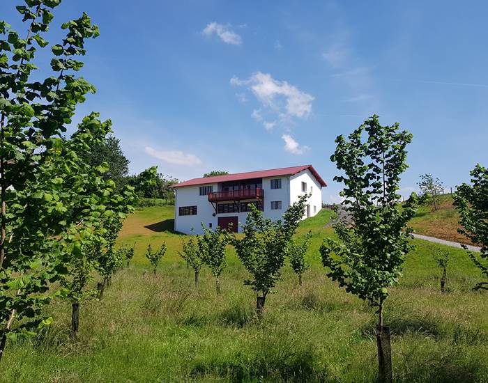 La plantation