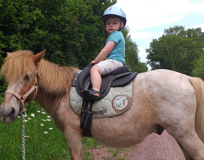 poney tenu en longe par les parents